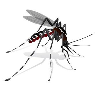 aedes aegypti mosquito mascot stilt