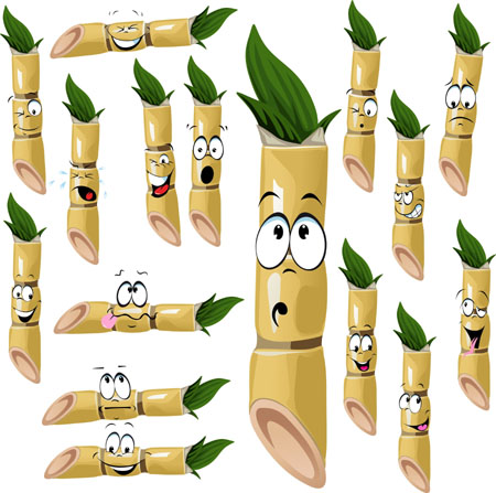 Sugarcane