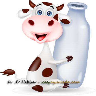 cow milk 