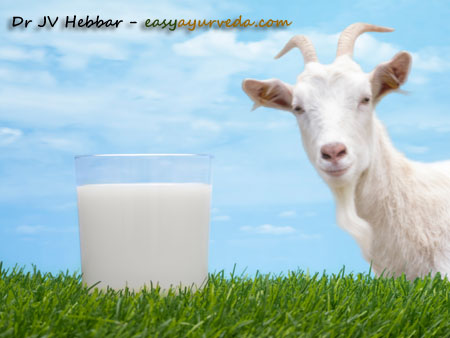 goat milk benefits