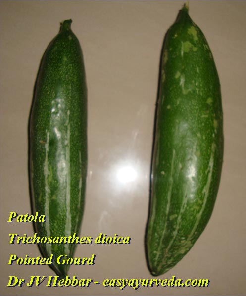 Pointed gourd fruit