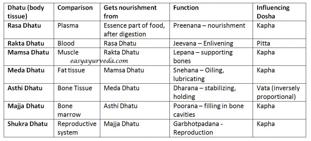 Dhatu - Body tissues