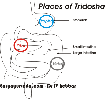 place of tridosha