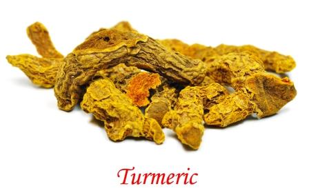 Dried turmeric rhizome