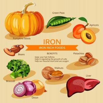 foods rich in iron
