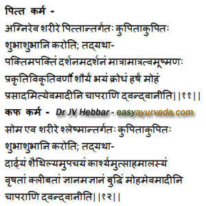 functions of Pitta and Kapha