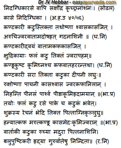 kantakari benefits