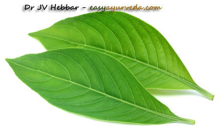 Vasaka leaf