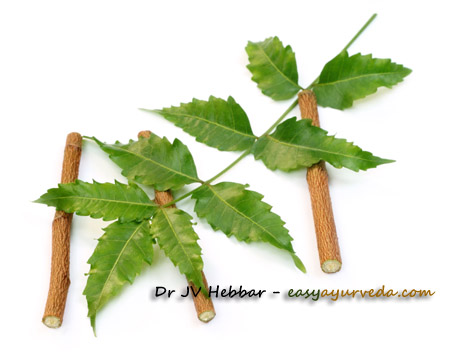 neem twig as tooth brush