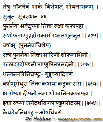 Boerhavia diffusa medicinal uses