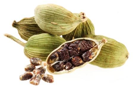 Elettaria cardamomum