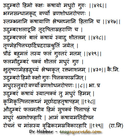 Ficus racemosa uses