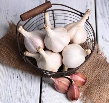 Garlic bulbs