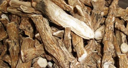 Acorus calamus rhizome