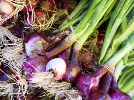 Onion Uses, Remedies, Research, Side Effects