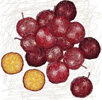 Flacourtia indica fruit