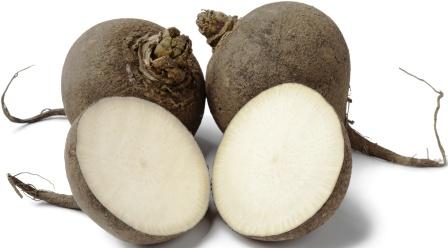black radish