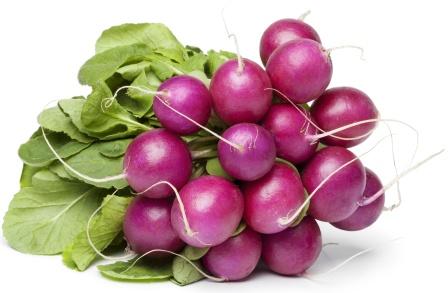 purple radish