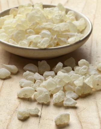 Mastic tears of Chios