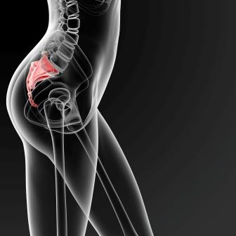 Tailbone Pain Exercises for Coccyx Pain Relief and Muscle Spasm 