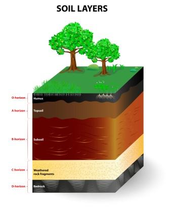 layers of soil