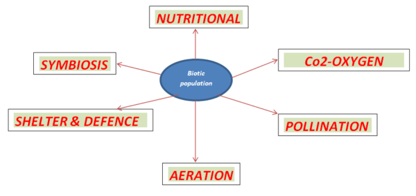 Plants And Humans: Growth And Relationship