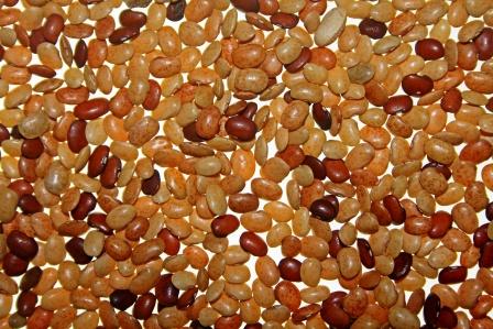 Horse gram, Kulthi