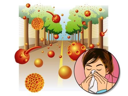 Allergy to pollen