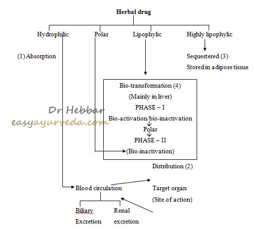 Nature of herbs