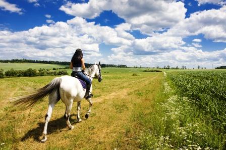 horse riding