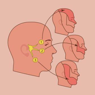 trigeminal nerve