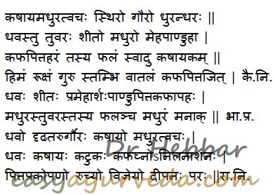 Anogeissus latifolia uses