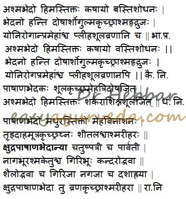 Pashanabedha - Berginia ligulata