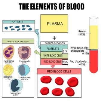 the elements of blood