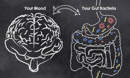 Mood and Gut Bacteria 