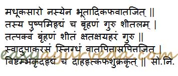 madhuca indica uses