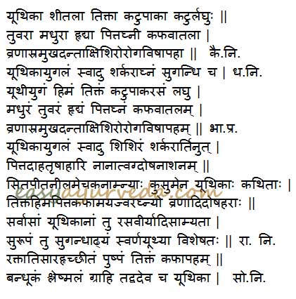 yuthika-jasminum-auriculatum-uses
