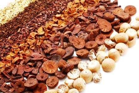 Arecanut Cultivation Betel Nut Information Agri Farming