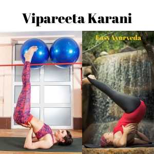 Kudos Ayurveda - The Viparita Karani is a mild inversion and is