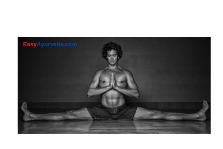 psoas – InBodied Living & Co.