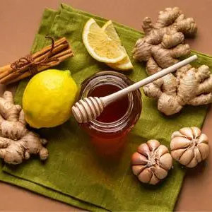 Buy Easy Ayurveda Course on Introduction to Home Remedies