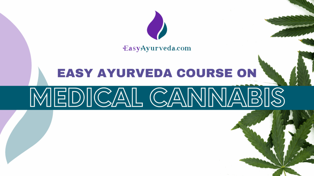medical cannabis course